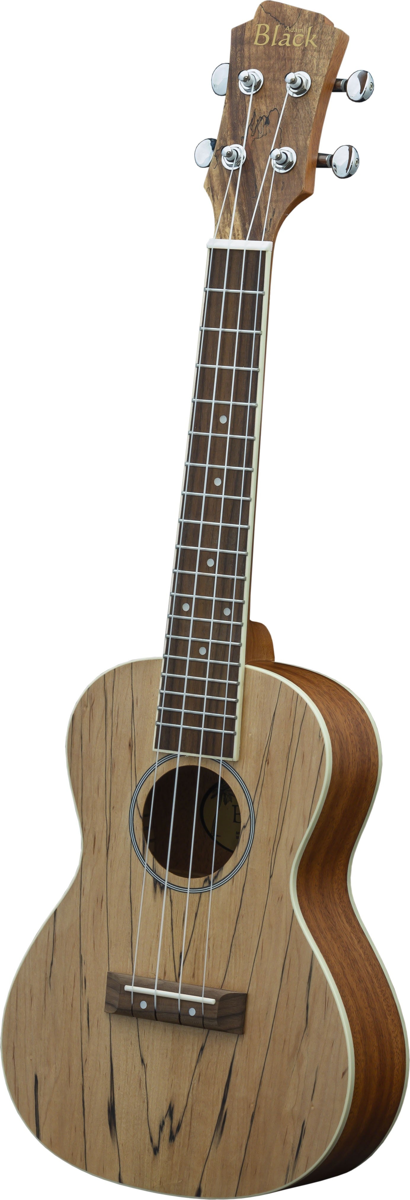 Adam Black Exotic Wood Series Concert Ukulele - Spalted Maple